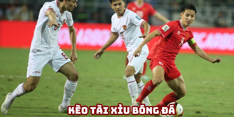 Kèo tài xỉu trong cá cược bóng đá trực tuyến 