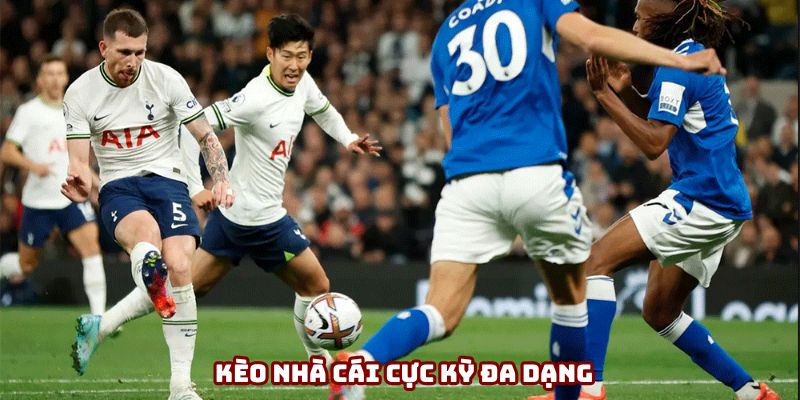 Kèo nhà cái với nhiều loại kèo thú vị